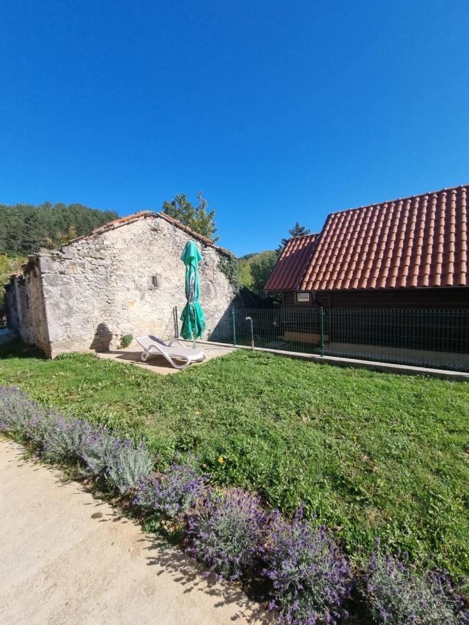 Dobra Hisa Zdravja Cicarija Hotel Golac Exterior photo